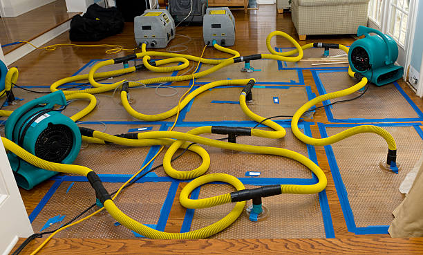 Professional Water Damage Restoration technician working in Dover Foxcroft, ME